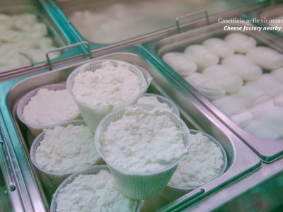 Holiday house Casa Bianca in Salento - Environment photo 37