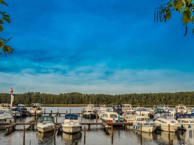 Holiday house Ferienhaus im Müritz-Nationalpark in Mirow - Environment photo 35