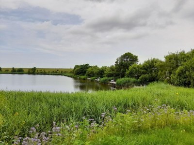 Apartment Penthouse am Nordstrand auf dem Deich - Environment photo 24