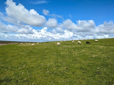Apartment Penthouse am Nordstrand auf dem Deich - Outdoor photo 33