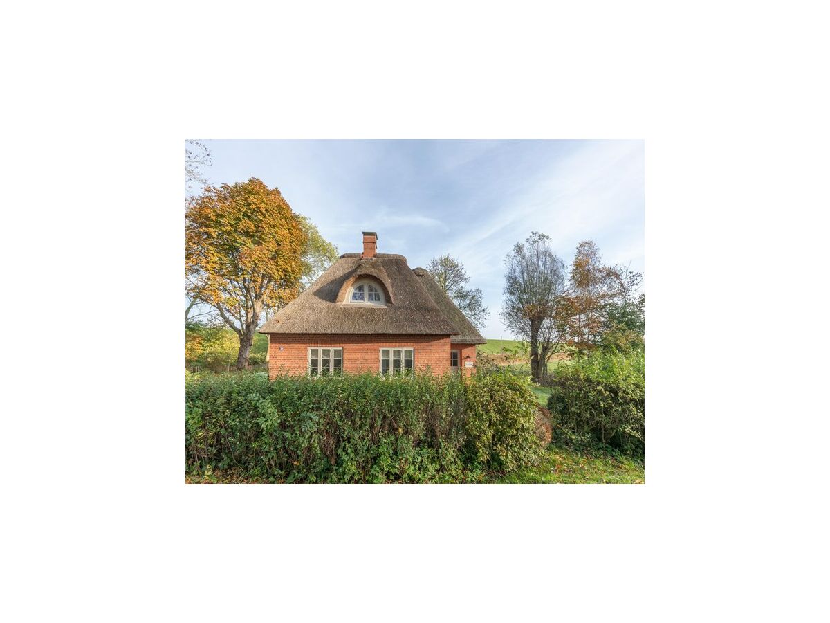 Holiday house reetgedecktes Ferienhaus mit Kachelofen