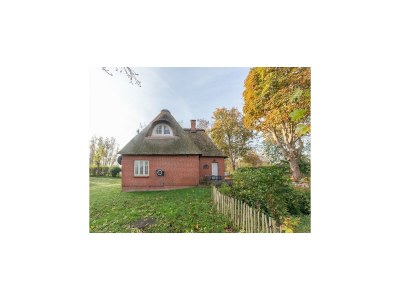 Holiday house reetgedecktes Ferienhaus mit Kachelofen - Outdoor photo 5