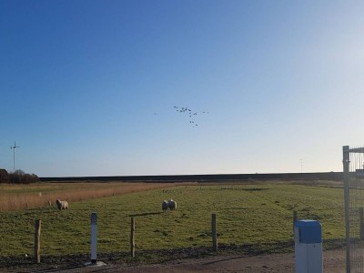 Holiday house Exklusiv eingerichtetes Ferienhaus in Strandnähe - Environment photo 23