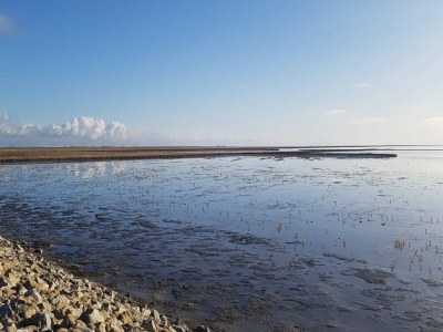 Holiday house Exklusiv eingerichtetes Ferienhaus in Strandnähe - Environment photo 27