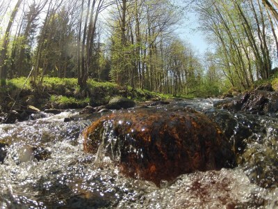 Holiday house Doppelhaushälfte in Hasselfelde - Environment photo 16