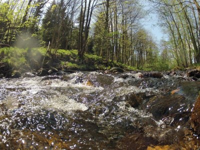Holiday house Doppelhaushälfte in Hasselfelde - Environment photo 17