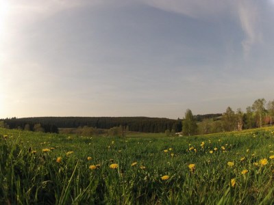 Holiday house Doppelhaushälfte in Hasselfelde - Environment photo 21