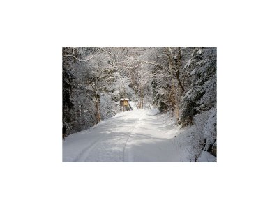 Holiday house Doppelhaushälfte in Hasselfelde - Environment photo 22