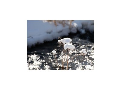 Holiday house Doppelhaushälfte in Hasselfelde - Environment photo 24