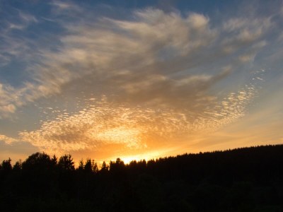 Holiday house Doppelhaushälfte in Hasselfelde - Environment photo 15