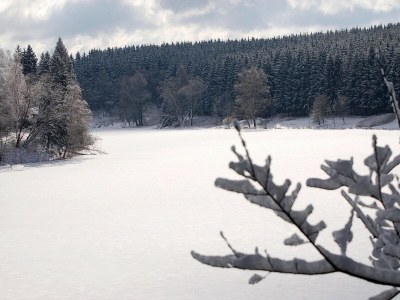 Holiday house Blockhaus, Hasselfelde - Environment photo 11