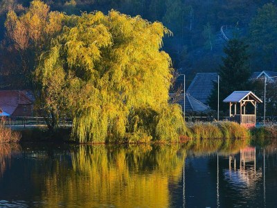 Holiday house Blockhaus, Hasselfelde - Environment photo 12