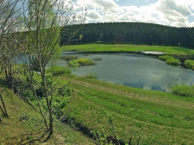 Holiday house Blockhaus, Hasselfelde - Environment photo 14