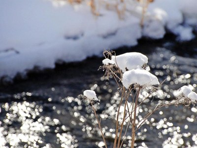 Holiday house Blockhaus, Hasselfelde - Environment photo 15