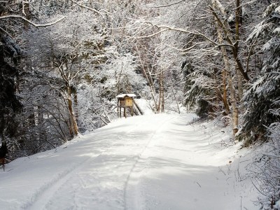 Holiday house Blockhaus, Hasselfelde - Environment photo 16