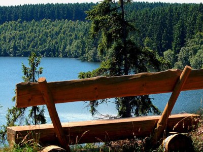 Holiday house Blockhaus, Hasselfelde - Environment photo 19
