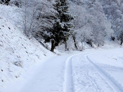 Holiday house Blockhaus, Hasselfelde - Environment photo 20