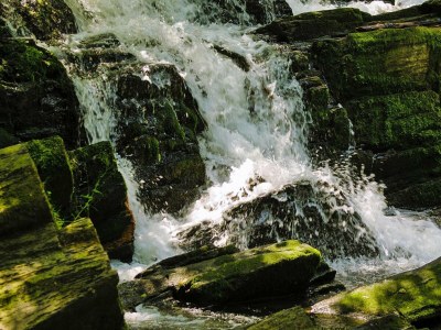 Holiday house Blockhaus, Hasselfelde - Environment photo 21
