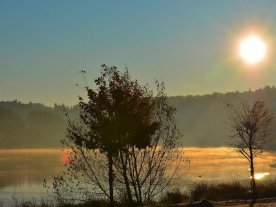 Holiday house Blockhaus, Hasselfelde - Environment photo 22
