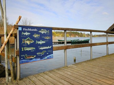 Apartment Ferienwohnung am Krakower See, Krakow am See - Outdoor photo 14