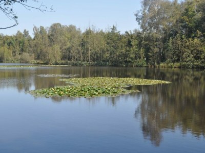 Holiday house liebevoll eingerichtetes Ferienhaus in Langenhorn - Outdoor photo 21