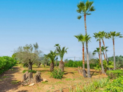 Villa ES GARROVERET - Outdoor photo 12