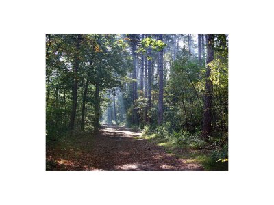 Holiday house New Zealand - Environment photo 30