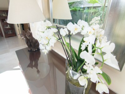 Villa Villa in Marratxí near Fashion Outlet - Features photo 14