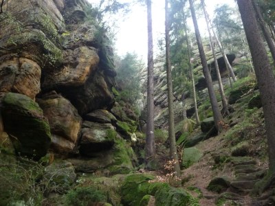 Holiday house Müller - Environment photo 16