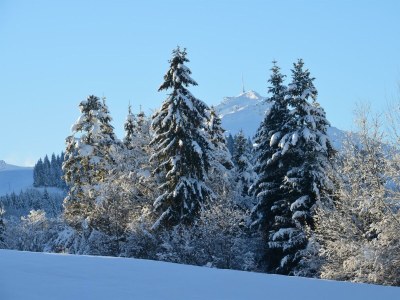 Apartment Ferienhaus Steinbergblick - Outdoor photo 5