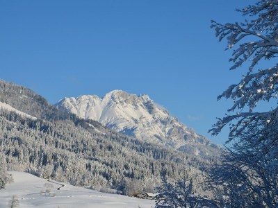 Apartment Ferienhaus Steinbergblick - Outdoor photo 6