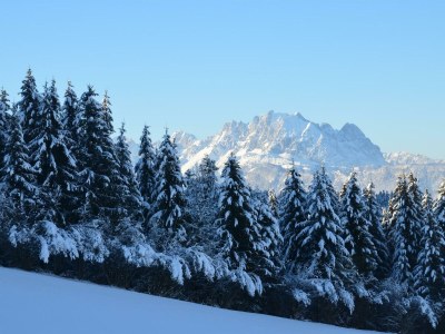 Apartment Ferienhaus Steinbergblick - Outdoor photo 10