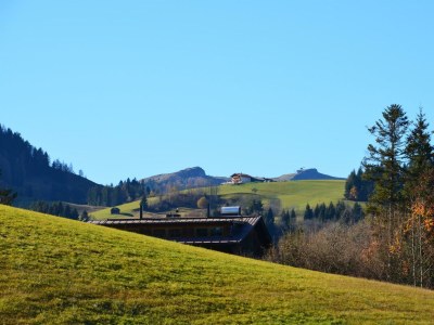 Apartment Ferienhaus Steinbergblick - Outdoor photo 16