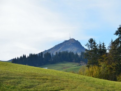Apartment Ferienhaus Steinbergblick - Outdoor photo 21