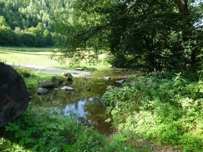 Apartment Ruhige 70qm-Ferienwohnung im Westerwald - Outdoor photo 5