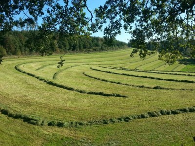 Apartment Ruhige 70qm-Ferienwohnung im Westerwald - Outdoor photo 8
