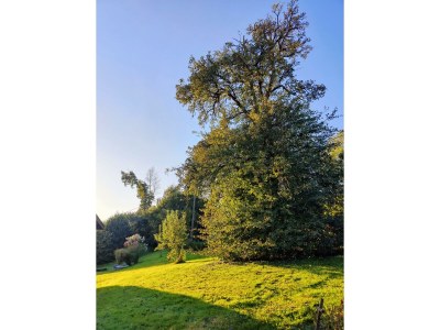 Apartment Allergikergerechte komfortable Ferienwohnung - Outdoor photo 8