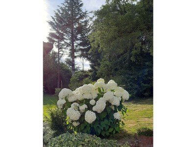 Apartment Allergikergerechte komfortable Ferienwohnung - Outdoor photo 13