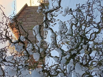 Apartment Allergikergerechte komfortable Ferienwohnung - Outdoor photo 20