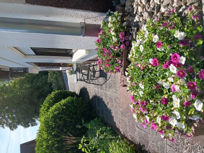 Apartment Allergikergerechte komfortable Ferienwohnung - Outdoor photo 21