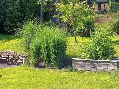 Apartment Allergikergerechte komfortable Ferienwohnung - Outdoor photo 22