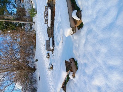Apartment Allergikergerechte komfortable Ferienwohnung - Outdoor photo 25