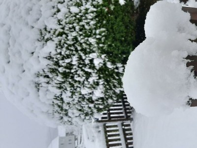 Apartment Allergikergerechte komfortable Ferienwohnung - Outdoor photo 26