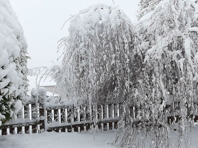 Apartment Allergikergerechte komfortable Ferienwohnung - Outdoor photo 27