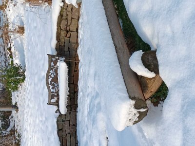 Apartment Allergikergerechte komfortable Ferienwohnung - Outdoor photo 28