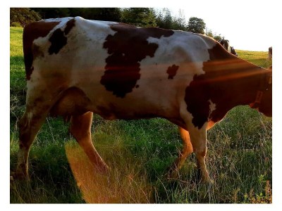 Holiday room Pilgerzimmer - Outdoor photo 5