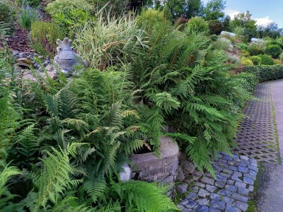 Holiday room Pilgerzimmer - Outdoor photo 7