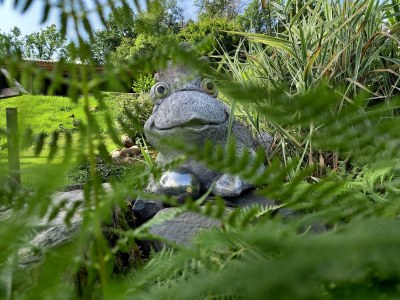 Holiday room Pilgerzimmer - Outdoor photo 8