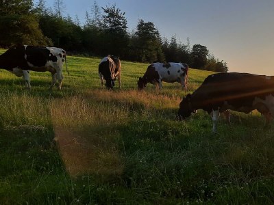 Holiday room Pilgerzimmer - Outdoor photo 20