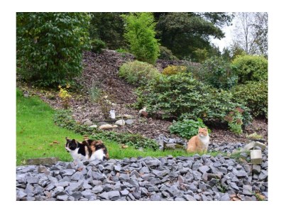 Holiday room Pilgerzimmer - Outdoor photo 22